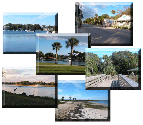 Scenes of Citrus County Florida