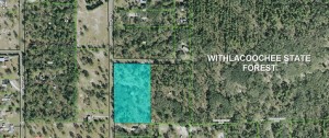 5 Wooded Acres for sale in Lecanto Florida 5 Wooded Acres for sale in Lecanto Florida